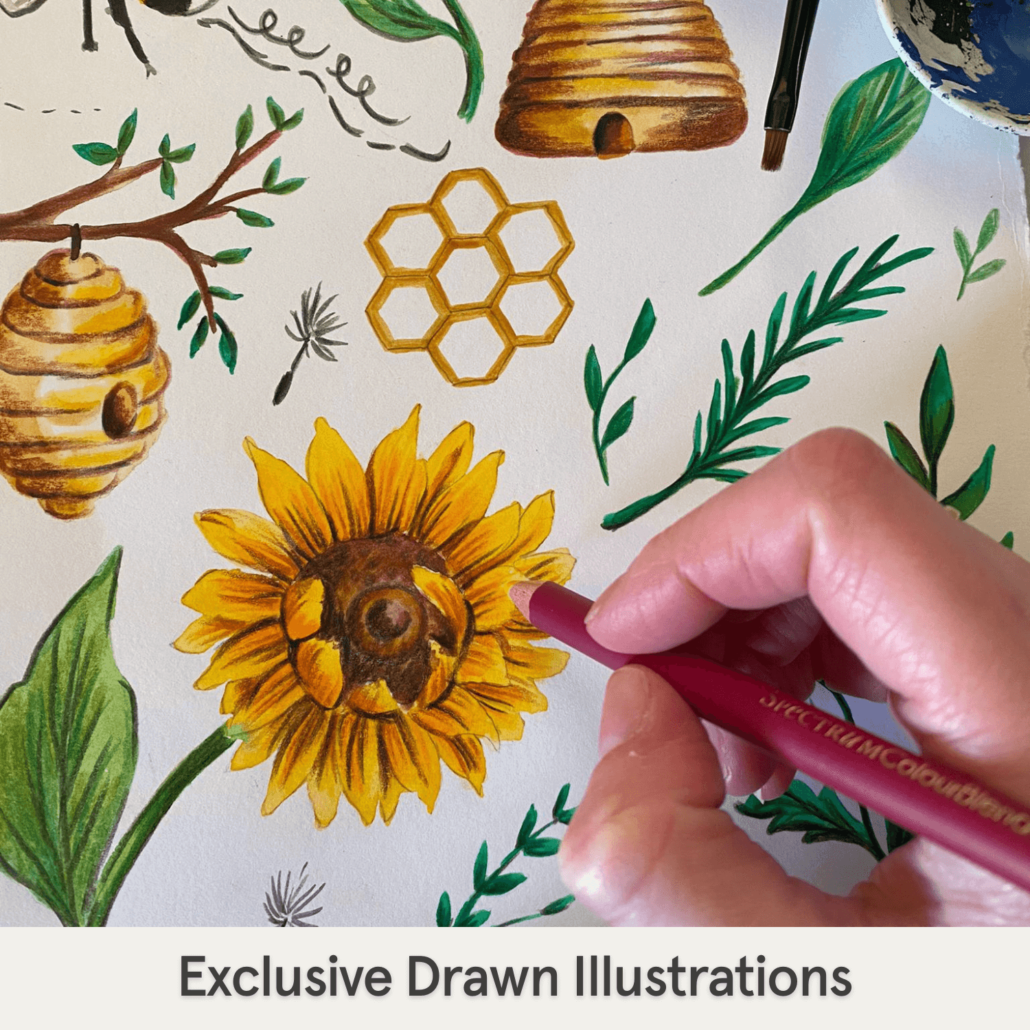 Hand holding a pen over a sunflower illustration with bee hives and honeycomb patterns from the Honey Bees Pyjamas with bee print made from bamboo and organic cotton from GrowGrows