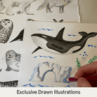 Hand-drawn illustrations of whale, owl, wolf, ice berg, polar bear that are part of the design on the Arctic Animals Pyjamas with Arctic animal print made from bamboo and organic cotton from GrowGrows