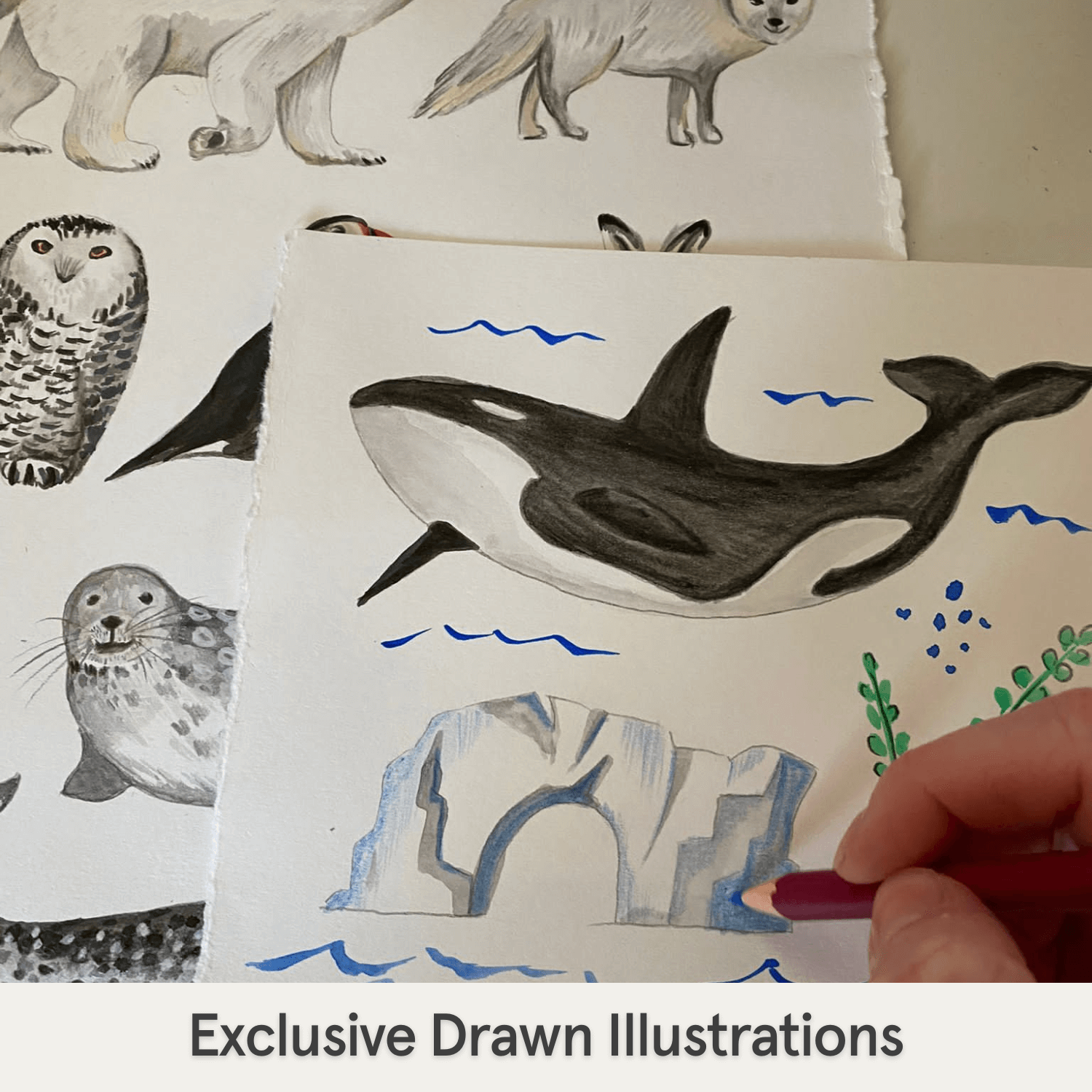 Hand-drawn illustrations of whale, owl, wolf, ice berg, polar bear that are part of the design on the Arctic Animals Pyjamas with Arctic animal print made from bamboo and organic cotton from GrowGrows