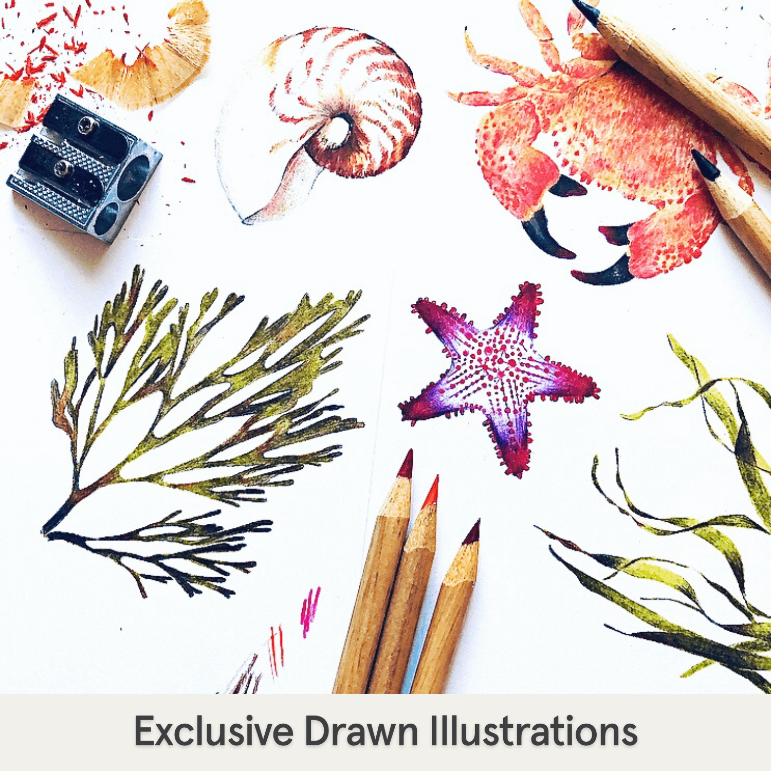 Hand drawn illustration of the Sea Life Pyjamas with ocean-inspired sea creature print made from bamboo and organic cotton from GrowGrows