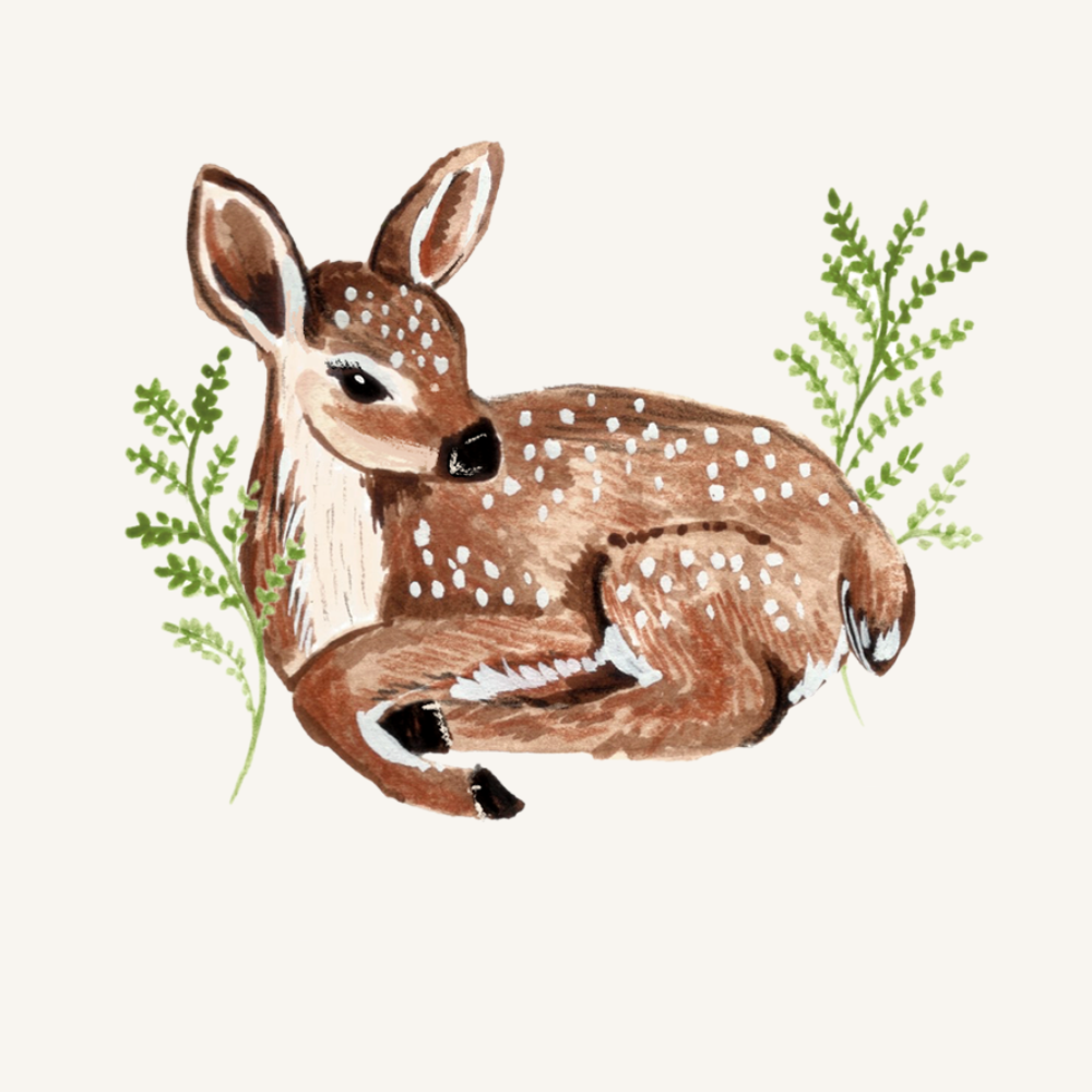 Close up detail of a deer on the Fleeting Fawn Pyjamas with fawn print made from bamboo and organic cotton from GrowGrows